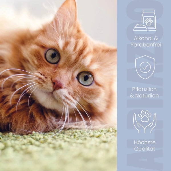 Nahaufnahme einer roten Katze neben Symbolen für alkoholfrei und parabenfrei, pflanzlich und natürlich, höchste Qualität