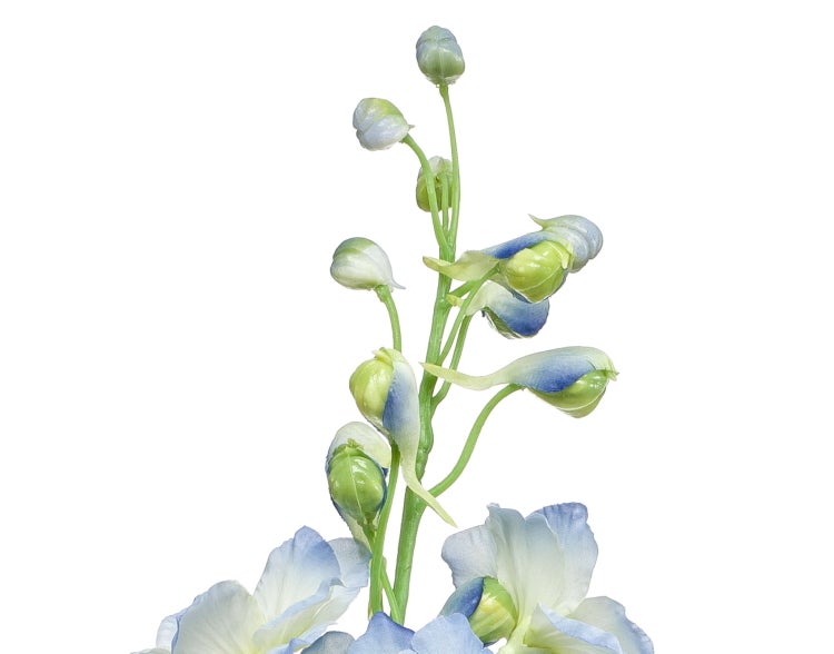 Künstlicher Rittersporn Zweig mit grünen Knospen und blau-weißen Blüten.