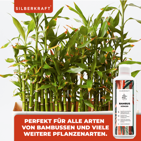 SILBERKRAFT Bambus Bio-Dünger – 1 Liter