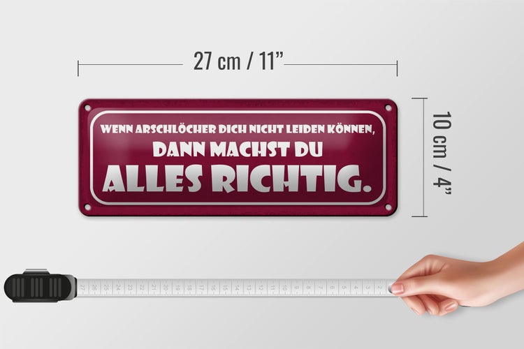 Blechschild Spruch 27x10cm wenn Arschlöcher dich nicht Dekoration
