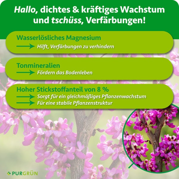 Infografik mit Wirkungsweise von Purgrün Dünger: Magnesium gegen Verfärbungen, Tonmineralien für Bodenleben und Stickstoff für Pflanzenwachstum.