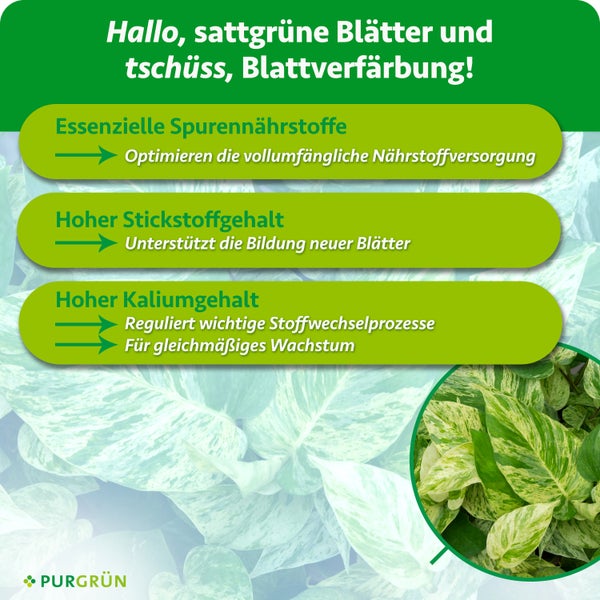 Anwendungshinweise und Dosierungsempfehlung für Purgrün Pflanzendünger mit Dosierkappe und Jahreskalender für die Anwendung.