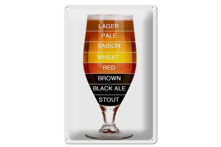 Blechschild Spruch 20x30cm Bier Bierglas lager pale saison