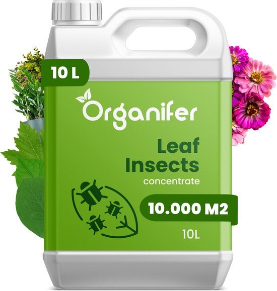 Leaf Insects Blattinsekten-Konzentrat - 10 L für 10.000 m2 - Organifer