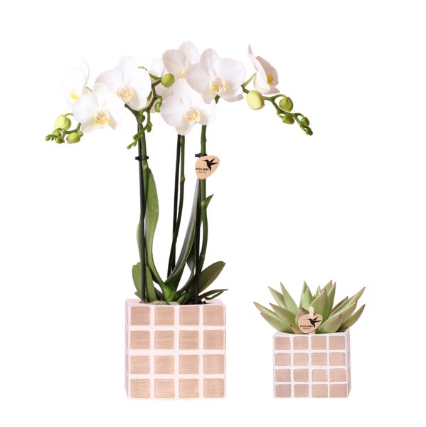 Übertopf-Trio Mosaik-Würfel - Set mit 3 bunten Töpfen - blau-sand - für 6cm Töpfe