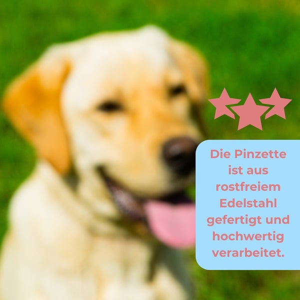 Die Pinzette ist aus rostfreiem Edelstahl gefertigt und hochwertig verarbeitet.
