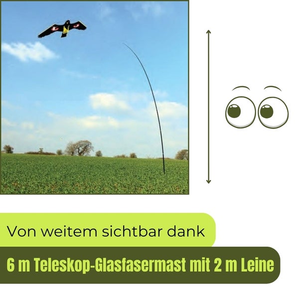Sechs Meter Teleskop Glasfasermast mit zwei Meter Leine und Vogelscheuche im Feld