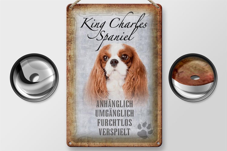 Blechschild Spruch 20x30cm King Charles Spaniel Hund