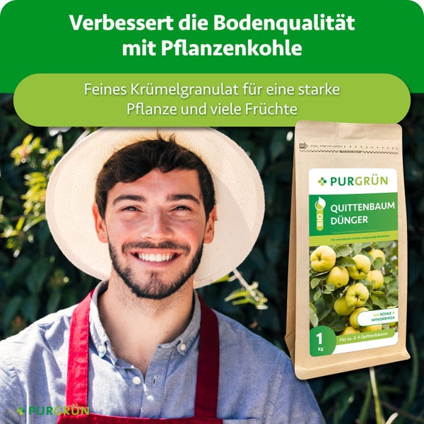 Ein glücklicher Gärtner mit Hut neben einer Packung Purgrün Quittenbaum Dünger mit Pflanzenkohle und Mykorrhiza.