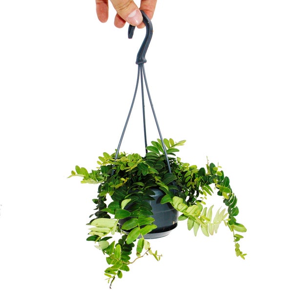 LED-Deckenleuchte mit Fernbedienung zur Lichtsteuerung