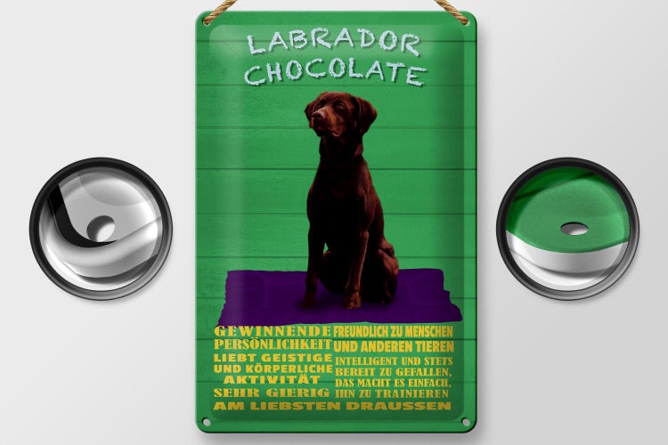 Blechschild Spruch 20x30cm Labrador Chocolate Hund