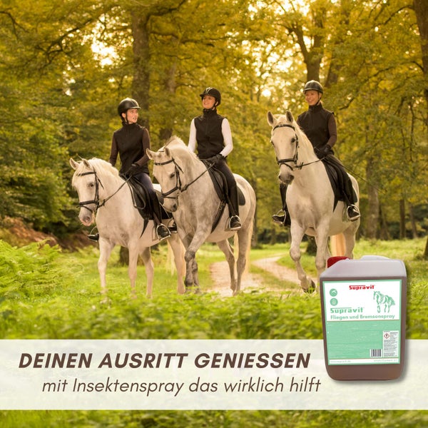 Drei Reiterinnen auf Schimmeln reiten auf einem Waldweg, im Vordergrund steht eine Flasche Supravit Fliegen- und Bremsenspray für Pferde.