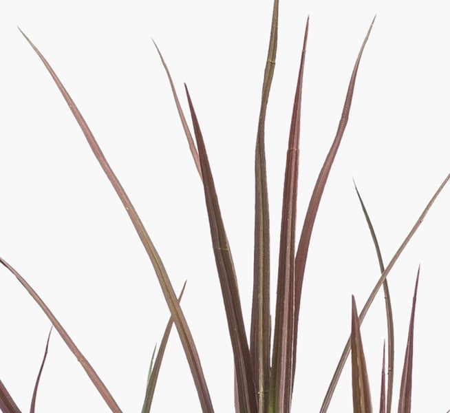 Künstlicher Farn im schwarzen Kunststofftopf mit grünen Wedeln und braunem Stamm.