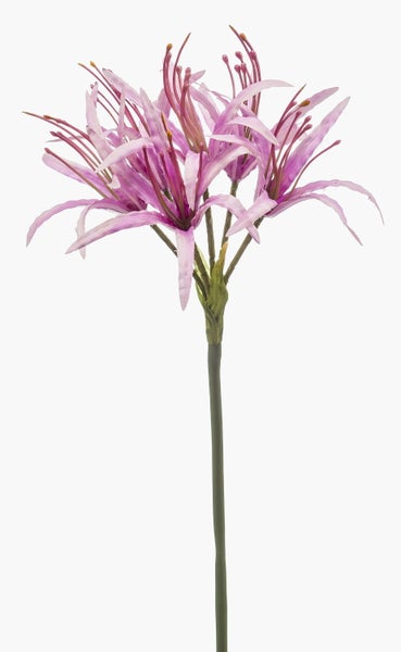 Künstliche Nerine Blume am Stiel mit violetten Blüten und grünem Kunststoffstiel für die Innendekoration.