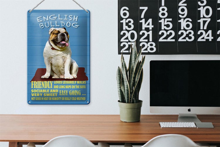 Blechschild Spruch 20x30cm English Bulldog Hund friendly