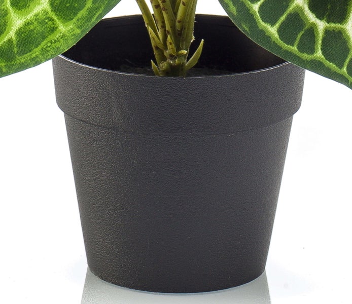 Künstlicher Rittersporn Zweig mit zahlreichen apricotfarbenen Blüten und Knospen, dekorative Kunstblume für Vasen.