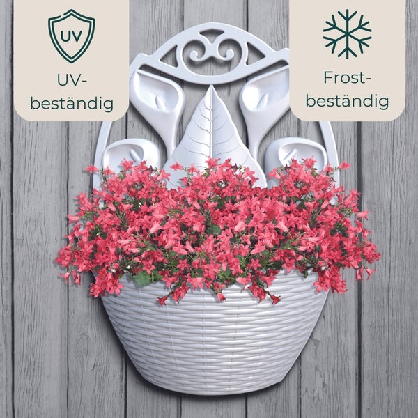 Wandpflanzgefäß mit roter Bepflanzung, UV-beständig, Frostbeständig