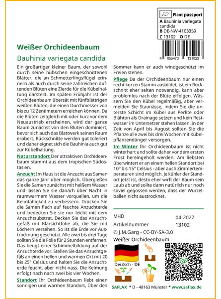 SAFLAX Garden in the bag - Weißer Orchideenbaum - Bauhinia variegata candida - 5 Samen - Mit Anzuchtsubstrat im praktischen, selbst aufstellenden Beutel