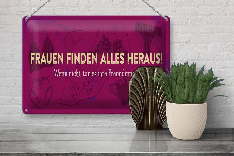 Blechschild Spruch 30x20cm Frauen finden alles heraus