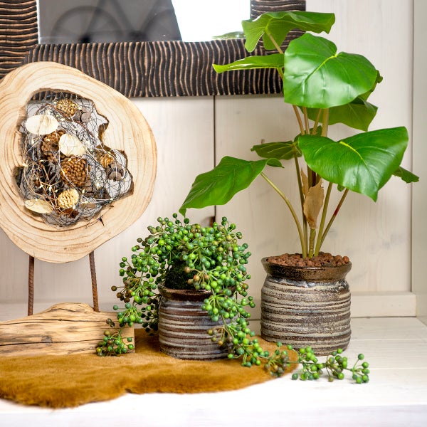 Dekoratives Stillleben mit Pflanzen in Töpfen und Holzelementen