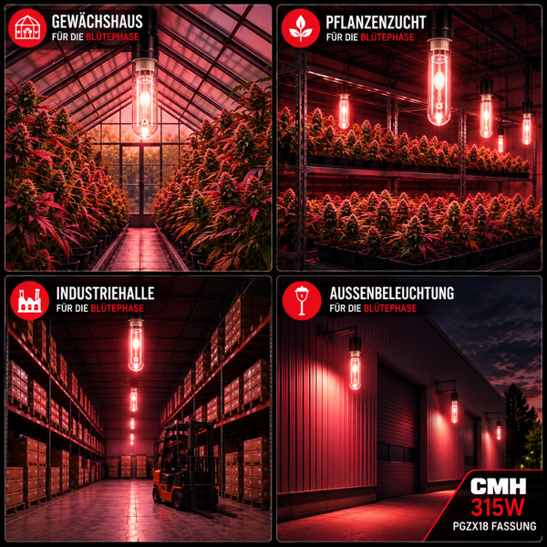 Vier Anwendungsbeispiele für 315 Watt CMH Pflanzenlampe mit PGZX18 Fassung zur Unterstützung der Blütephase in Gewächshaus, Anzucht und Industrie.