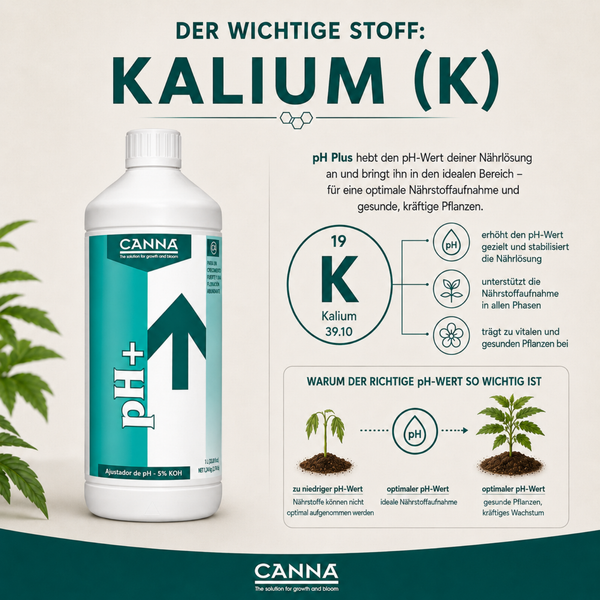 Canna pH Plus Flasche zur pH Wert Regulierung mit Infografik zur Bedeutung von Kalium und dem Einfluss auf das Pflanzenwachstum.