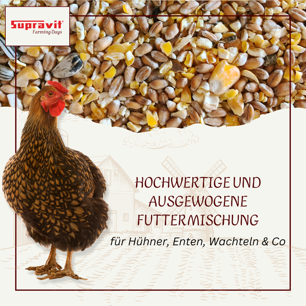 Supravit Logo vor einer Mischung aus Futtermitteln und einer Henne.