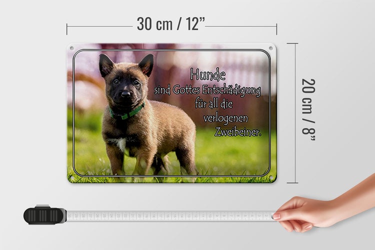 Blechschild Spruch 30x20cm Hunde sind Gottes Entschädigung