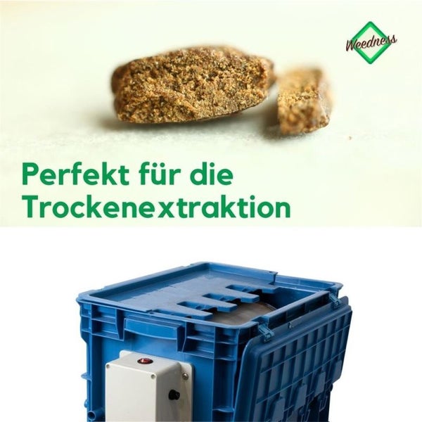 Elektrische Pollenmaschine 150 g – Trockenextraktion von Blütenpollen, Einstellbare Geschwindigkeit, Robuste PVC-Box mit 150 µm Siebtrommel