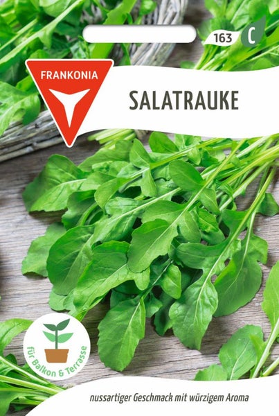 Salatrauke-Samenpackung von Frankonia