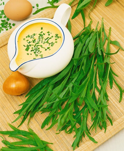 Frischer Estragon neben Sauce Hollandaise, Zwiebel und Ei auf einem Tablett.