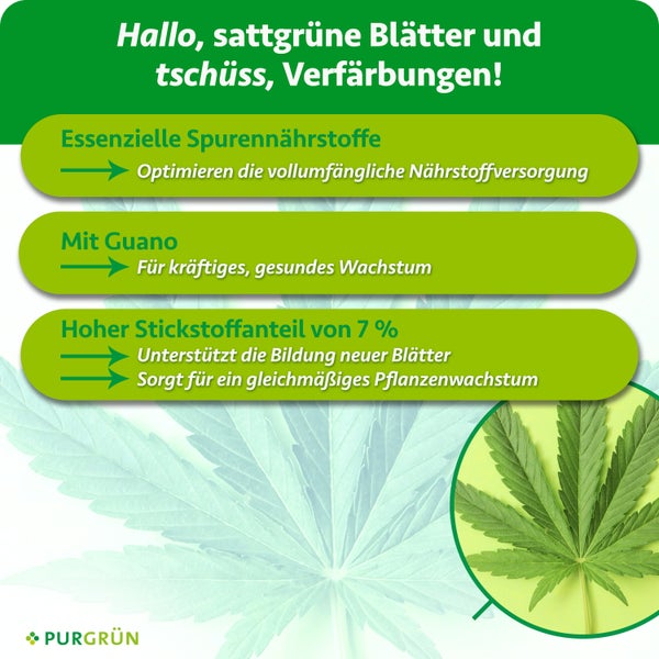 Produktinformation Purgrün Pflanzendünger mit Guano und Stickstoff zur Förderung von Blattwachstum und gesunder Pflanzenentwicklung
