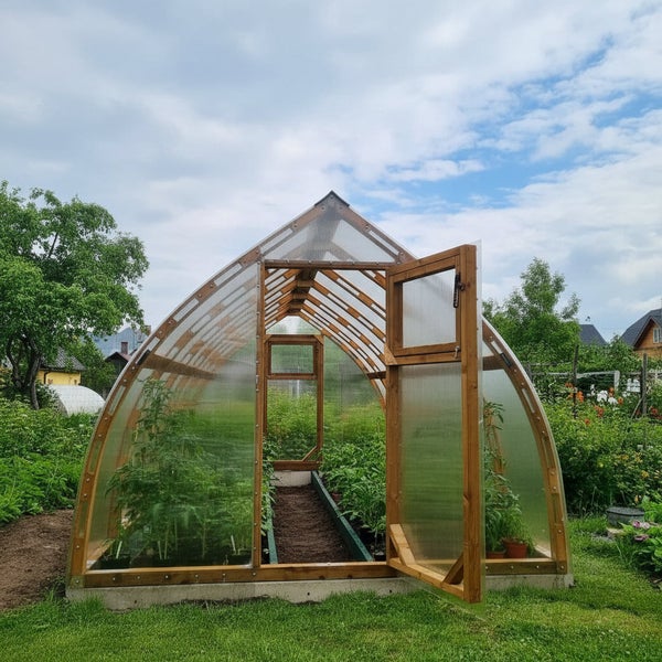 Bogen-Gewächshaus aus Holz in einem Garten mit Pflanzen im Inneren. Konstruktion aus geschwungenem Holz und lichtdurchlässigen Platten.