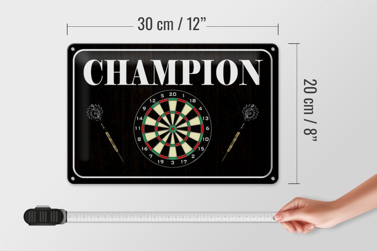 Blechschild Spruch 30x20cm Darts Champion
