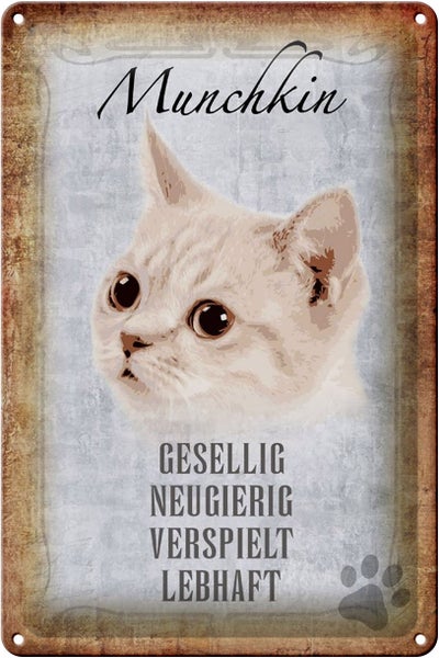 Blechschild Spruch 20x30cm Munchkin Katze lebhaft Schild