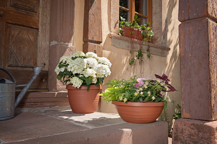 Scheurich Country Star 48, Pflanzgefäß/Blumentopf/Pflanzkübel, rund,  aus Kunststoff Farbe: Terracotta, 47,5 cm Durchmesser, 36,7 cm hoch, 40 l Vol.
