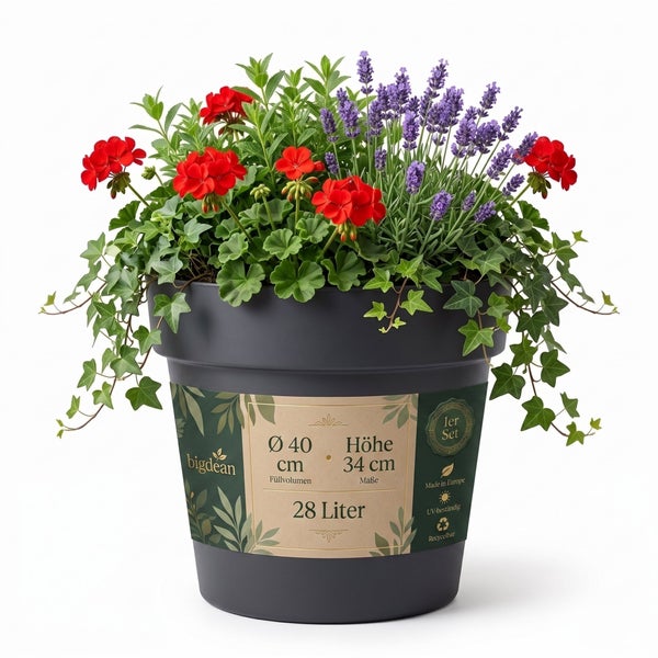 Runder Pflanztopf mit 28 Litern Volumen, Durchmesser 40 Zentimeter und Höhe 34 Zentimeter, bepflanzt mit Geranien, Lavendel und Efeu.