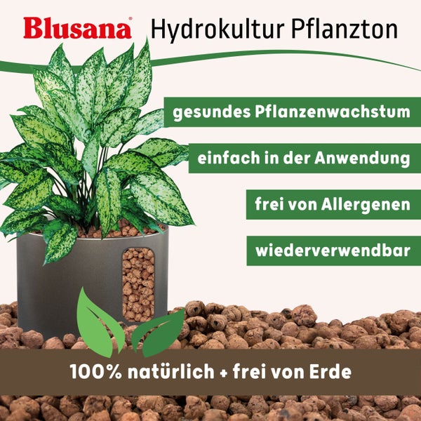 Blusana Blähton 10l Pflanzsubstrat für Hydrokultur Ton-Granulat Körnung 4-8 mm Drainagematerial & Bodenauflockerung