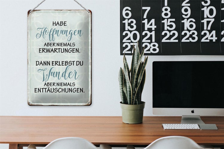 Blechschild Spruch 20x30cm habe Hoffnungen nie Erwartungen