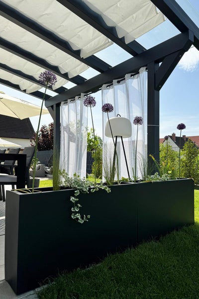 Großer schwarzer rechteckiger Pflanztrog auf einer modernen Terrasse mit Pergola, weißen Vorhängen, lila Allium und Ziergräsern.