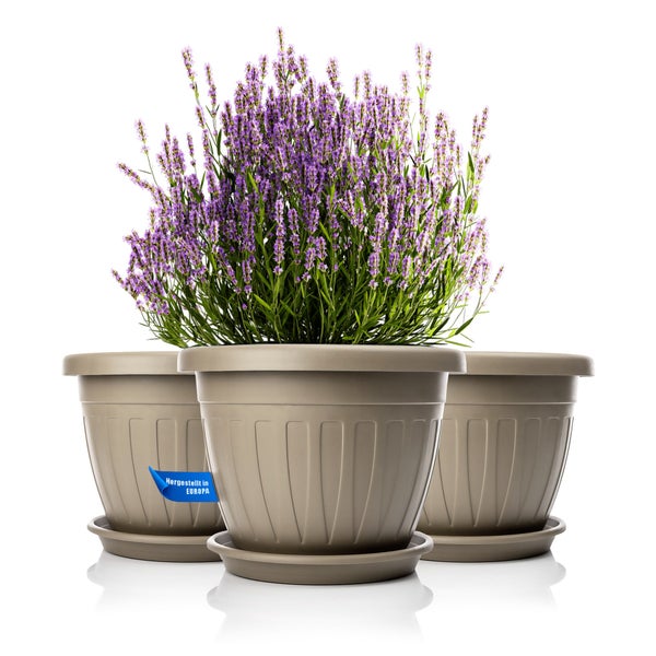 Drei Kunststoff Pflanzkübel mit Untersetzer und blühendem Lavendel, hergestellt in Europa.
