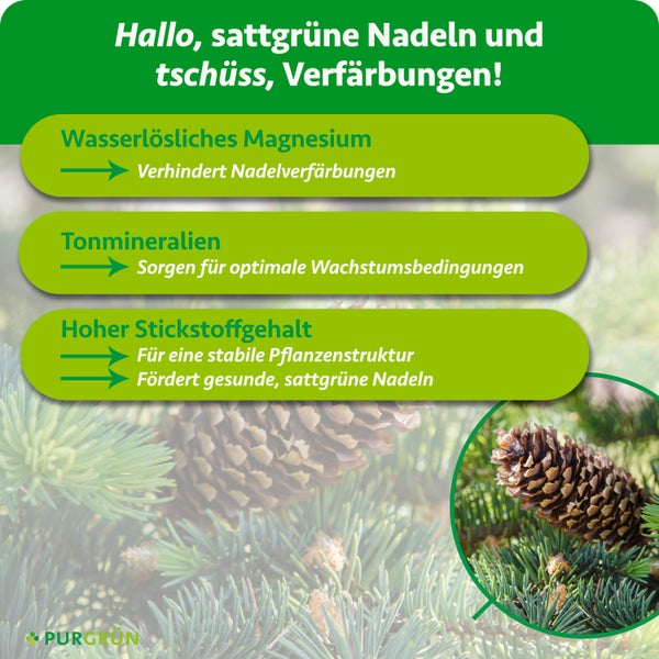 Vorteile von Purgrün Nadelbaumdünger: Magnesium gegen Verfärbung, Tonmineralien für Wachstum, Stickstoff für Struktur und Farbe. Purgrün Logo.