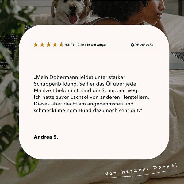 ALPHAZOO Premium Lachsöl 250ml für Hunde und Katzen I Natürliches Omega-3 Fischöl