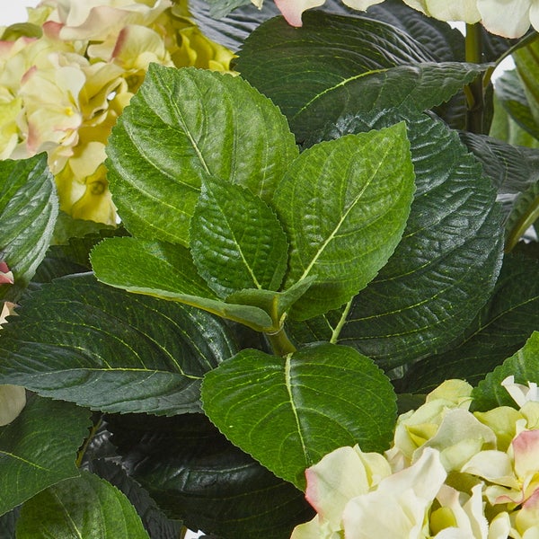 Nahaufnahme einer künstlichen Hortensie mit grünen Blättern und hellen Blütenköpfen