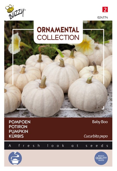 Zierkürbis Baby Boo Samenpackung