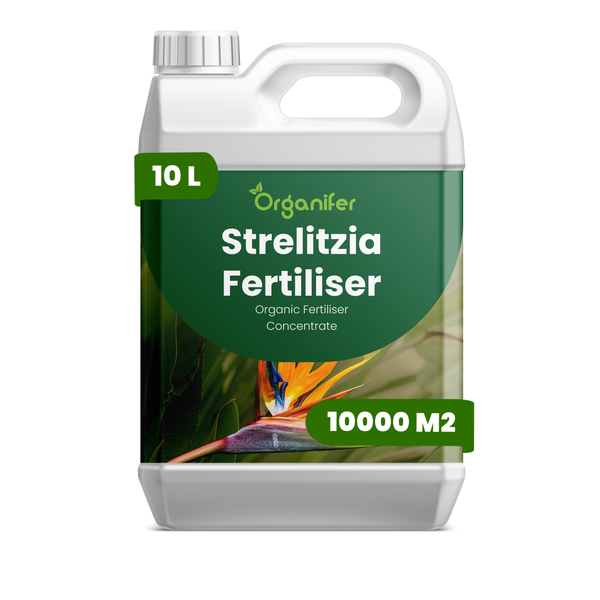 Organifer Strelitzia Dünger, organisches Düngerkonzentrat, 10 Liter Kanister, ausreichend für 10000 Quadratmeter.