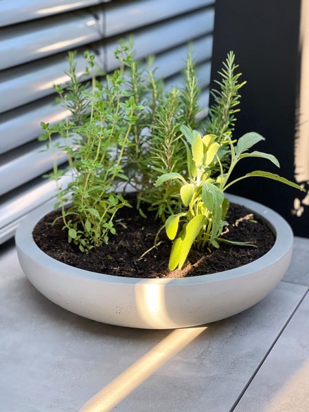Runder flacher Pflanzkübel in Steinoptik bepflanzt mit Kräutern wie Rosmarin und Salbei auf einer Terrasse.