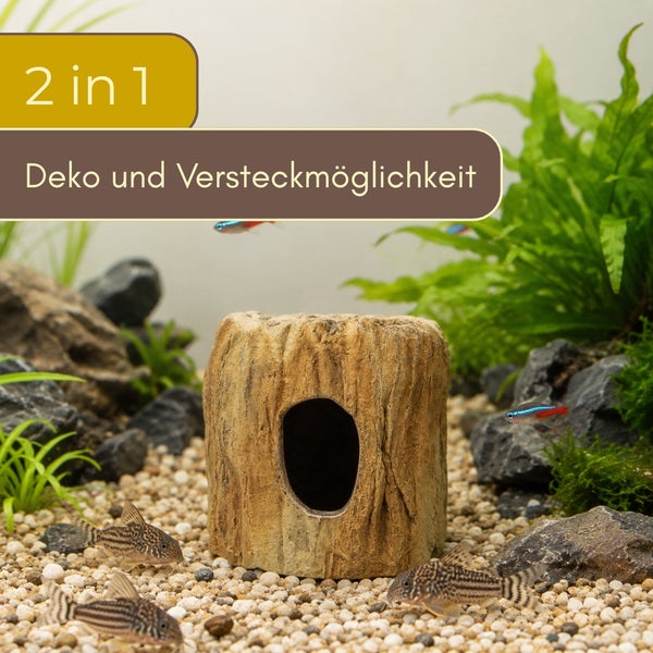 Aquarium-Dekoration in Form eines Baumstumpfes mit Öffnung als Versteckmöglichkeit für Fische, platziert in einem bepflanzten Aquarium.