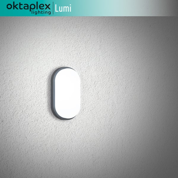 LED Kellerlampe Oval Lumi warmweiß 3000K IP54 10W 800Lm für Keller Wände und Decken anthrazit