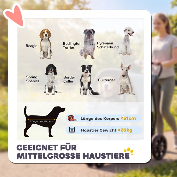 Infografik für mittelgroße Haustiere wie Beagle oder Border Collie. Körperlänge weniger als 51 Zentimeter und Gewicht weniger als 20 Kilogramm.